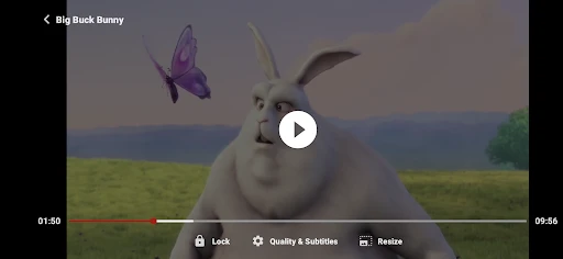 ZoZo Player - URL Video Player screenshot