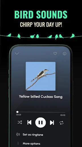 Ringtones for Android™ screenshot