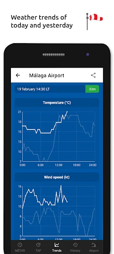 Metar-Taf - Visual decoder screenshot
