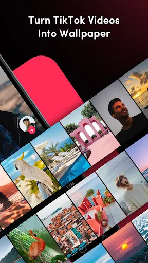 TickTock-TikTok Live Wallpaper screenshot